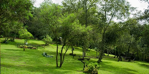 Descubre Chiapas con EmporioTravelsEco Chiapas<br><small>(13 noches, 14 dias)</small>