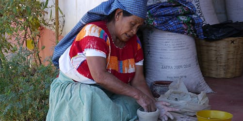 Descubre Chiapas con EmporioTravelsChiapas Fronterizo<br><small>(8 noches, 9 dias)</small>
