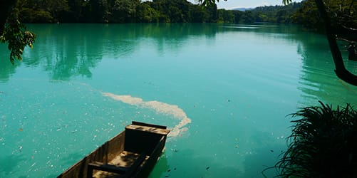 Descubre Chiapas con EmporioTravelsChiapas Fronterizo<br><small>(8 noches, 9 dias)</small>