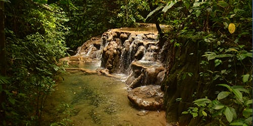 Descubre Chiapas con EmporioTravelsExcursión selva Lacandona<br><small>(3 dias)</small>