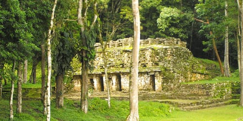 Descubre Chiapas con EmporioTravelsChiapas Magico y Cultural<br><small>(7 noches, 8 dias)</small>