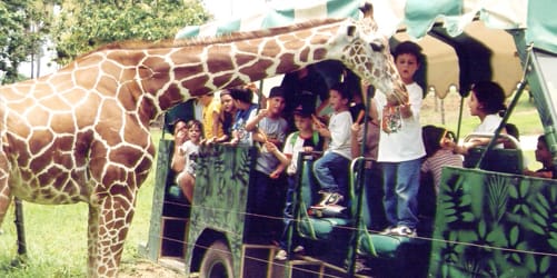 Descubre Chiapas con EmporioTravelsChiapas Maya Chontal<br><small>(7 noches, 8 dias)</small>