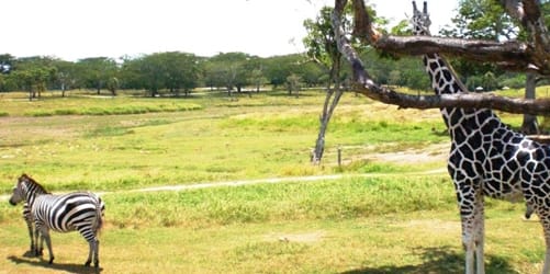 Descubre Chiapas con EmporioTravelsChiapas Fronterizo<br><small>(8 noches, 9 dias)</small>